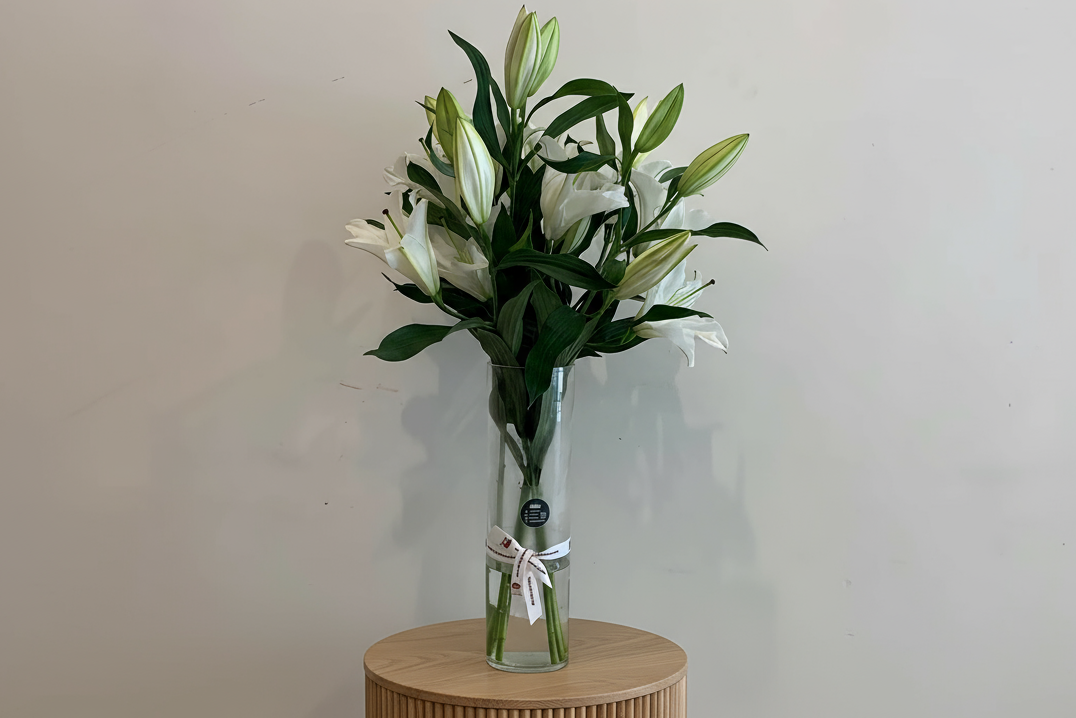 5 Premium Casablanca Lily in Long Vase