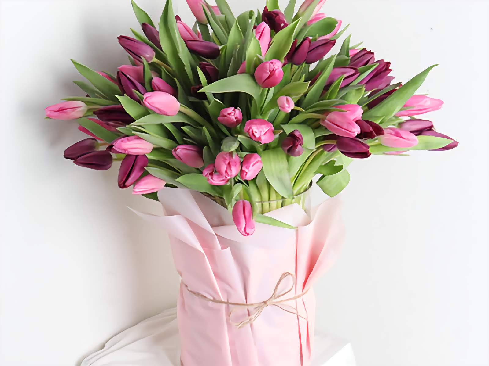 Purple Pink Tulips Bouquet - 50 Premium Fresh Stems close up