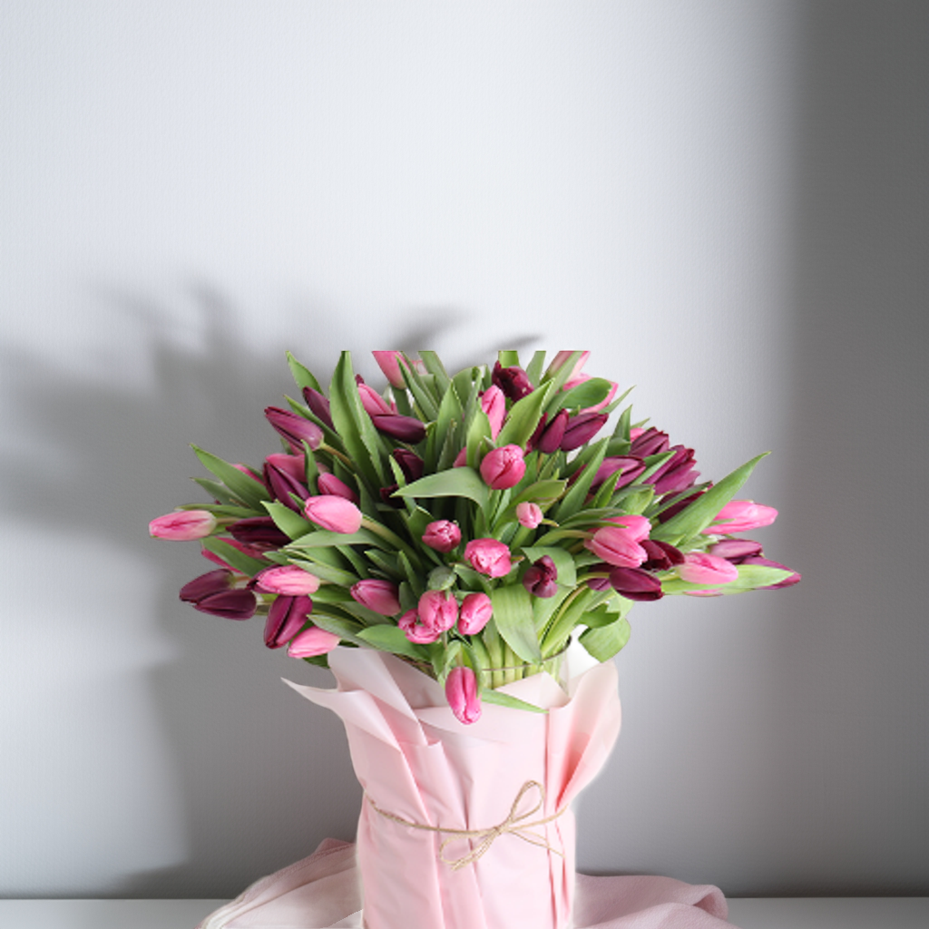 Purple Pink Tulips Bouquet | 50 Premium Fresh Stems