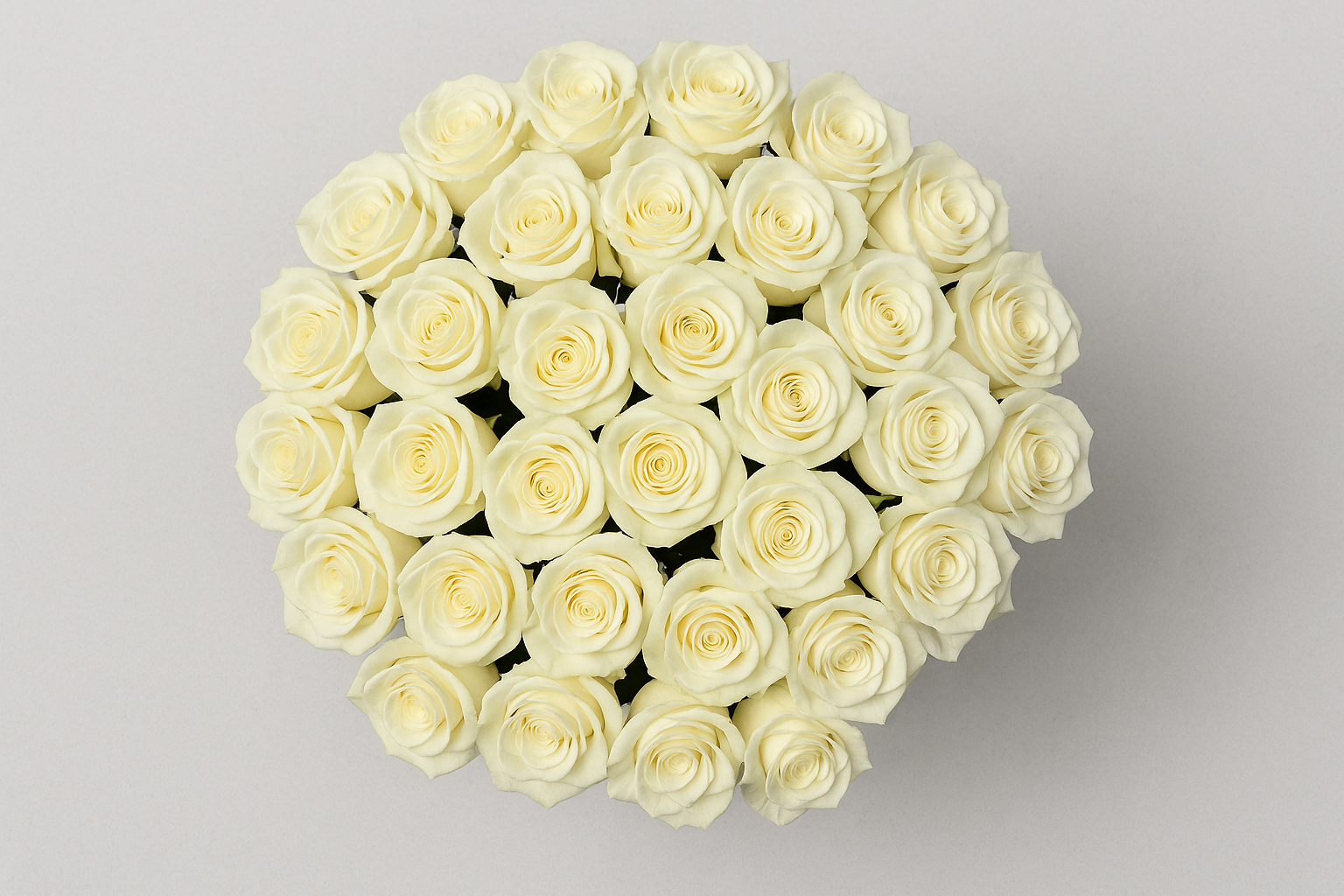 Round arrangement of white roses on a light gray background