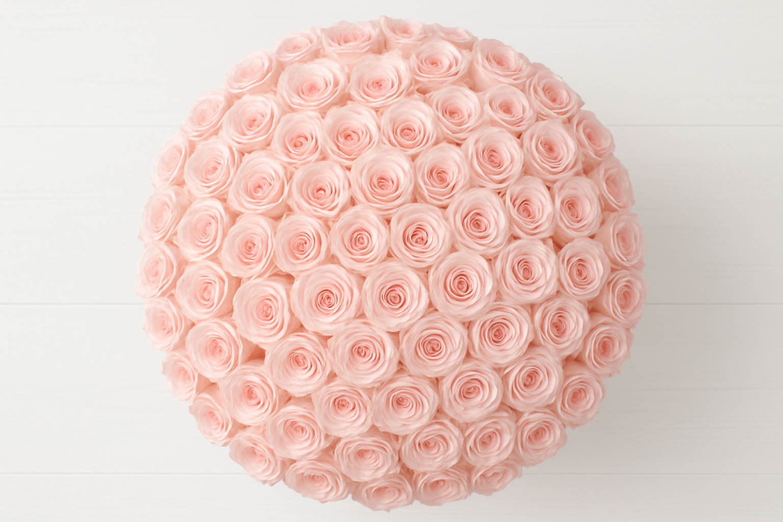 Large ball of pink roses on a white background