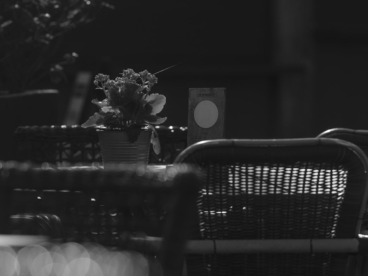 Table and chairs with potted plant at night