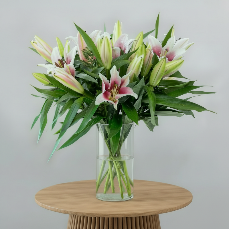 10 Pink Lilies - Studio Variant