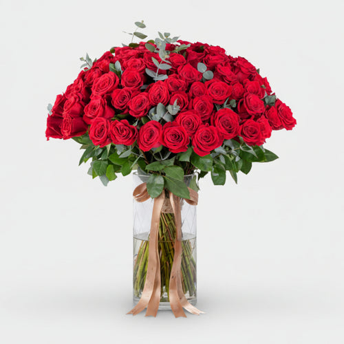 Bouquet of red roses in a clear vase on a white background