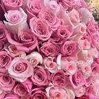 200 Pink Roses Luxury Bouquet - Premium Floral Gift Kuwait