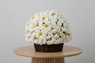 200 White Roses Basket