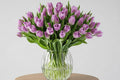 Purple tulips 50Pcs in Bowl