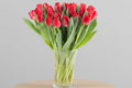 30Pcs red tulip vase