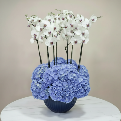 A floral arrangement featuring white butterfly orchids and light blue hydrangeas in a dark blue ribbed vase, set on a white marble table against a beige wall.