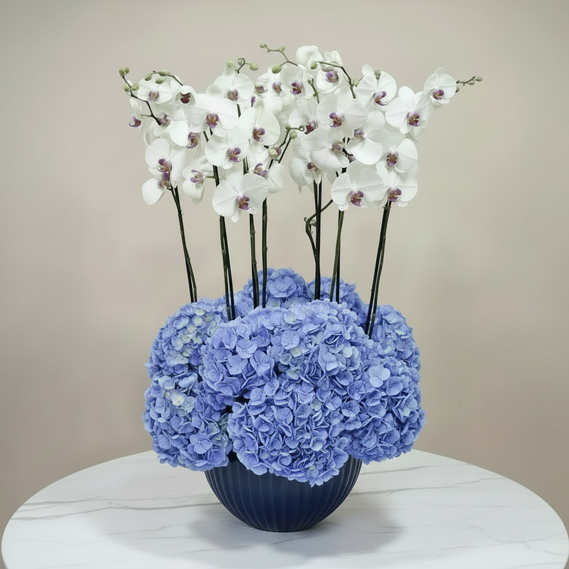 A floral arrangement featuring white butterfly orchids and light blue hydrangeas in a dark blue ribbed vase, set on a white marble table against a beige wall.