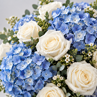 A close-up floral arrangement featuring cream-colored roses and light blue hydrangeas with small white filler flowers and green foliage, photographed against a soft light gray background.