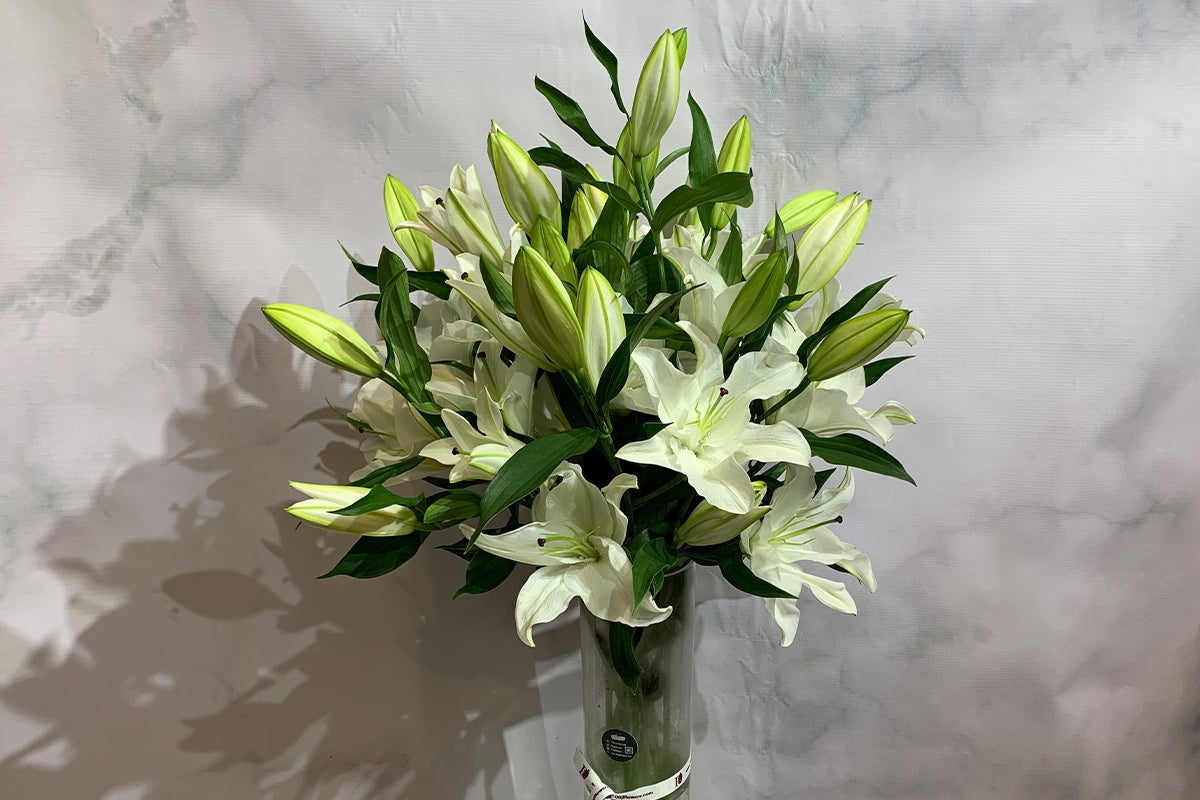 10 Premium Casablanca Lily in Long Vase