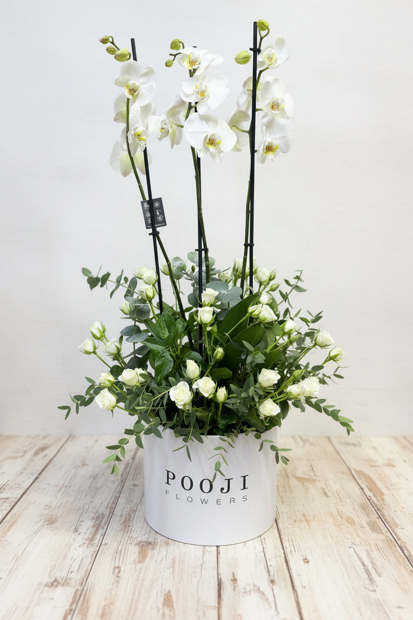 White Orchid Luxury Box