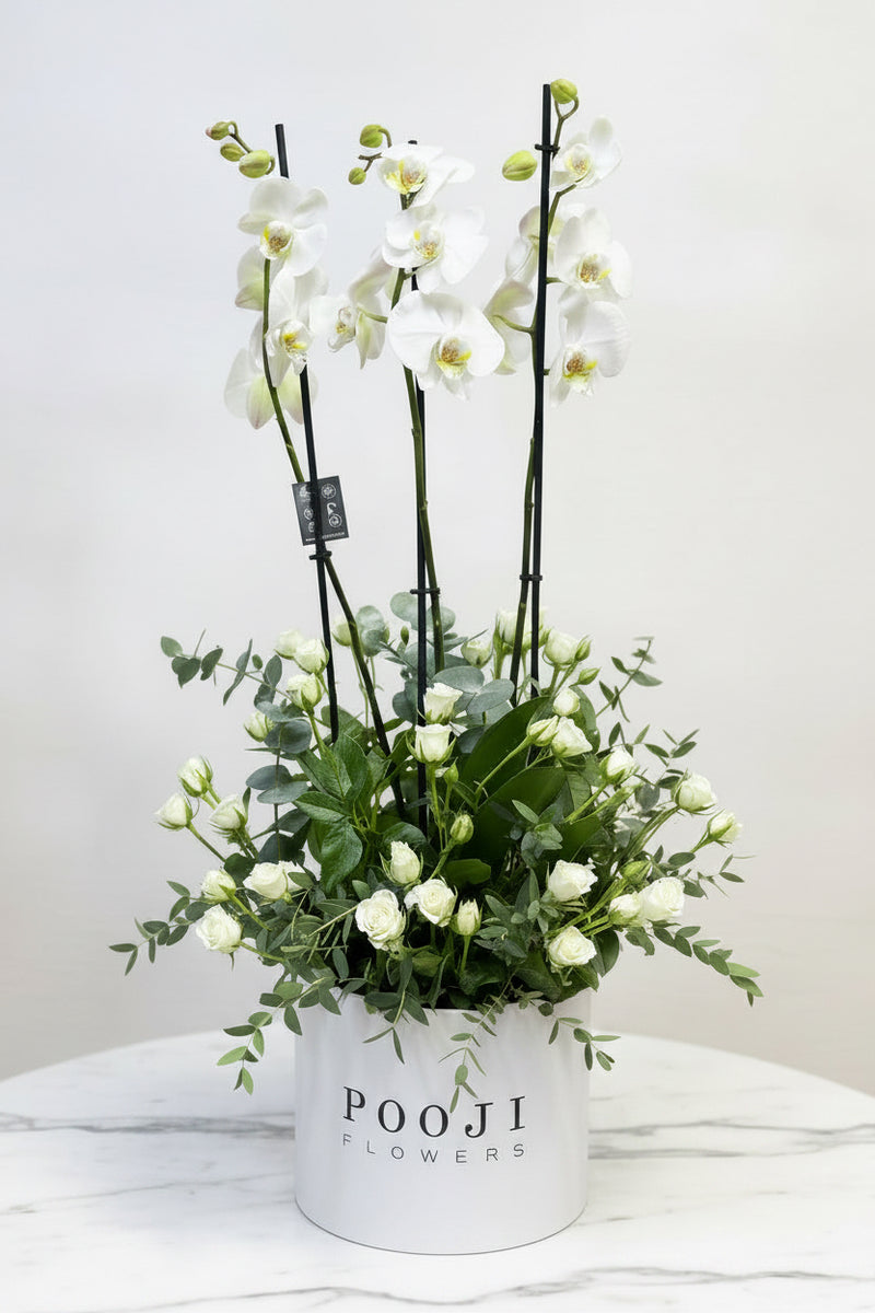White Orchid Luxury Box — same-day flower delivery in Kuwait