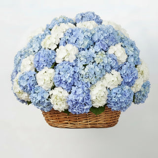 Basket of blue flowers with a decorative ribbon on a white background