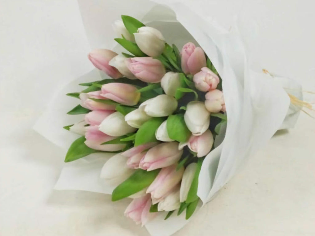 Bouquet Of White And Pink Tulips