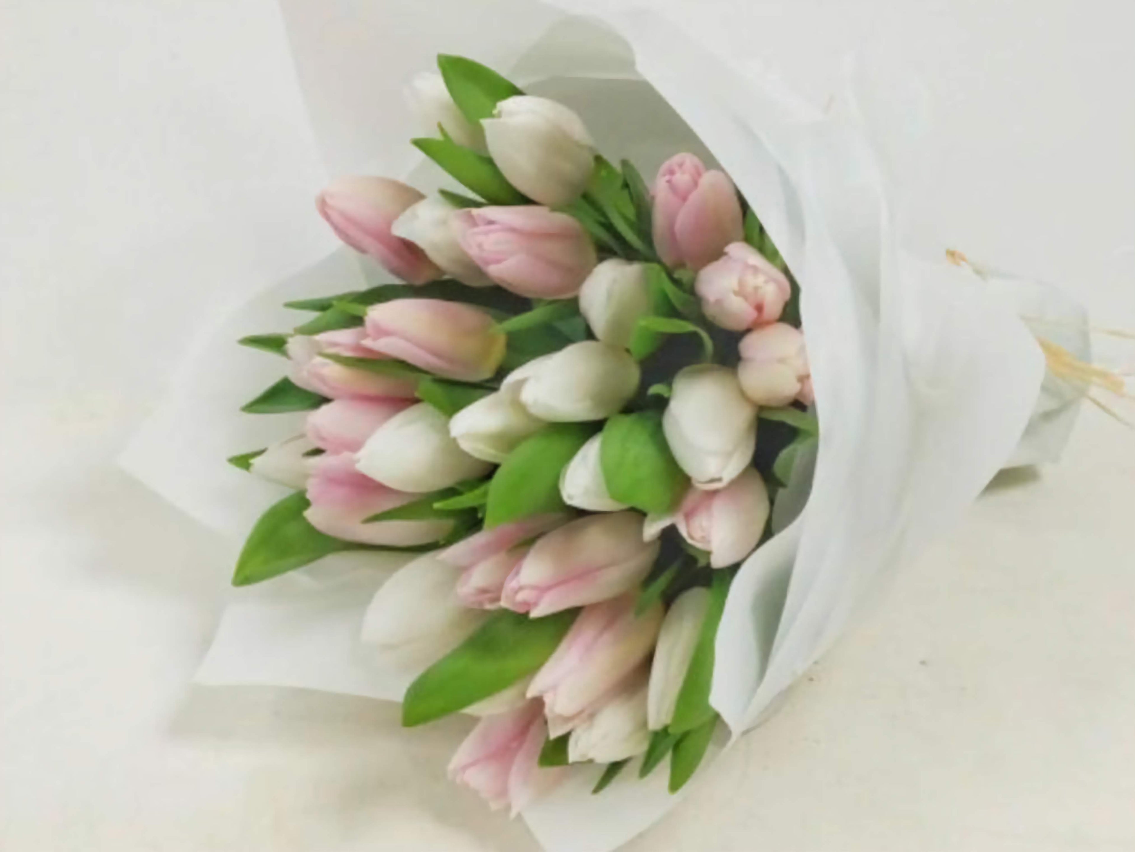 Bouquet Of White And Pink Tulips