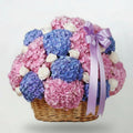 Bouquet of pink and blue flowers in a wicker basket with a decorative ribbon on a white background