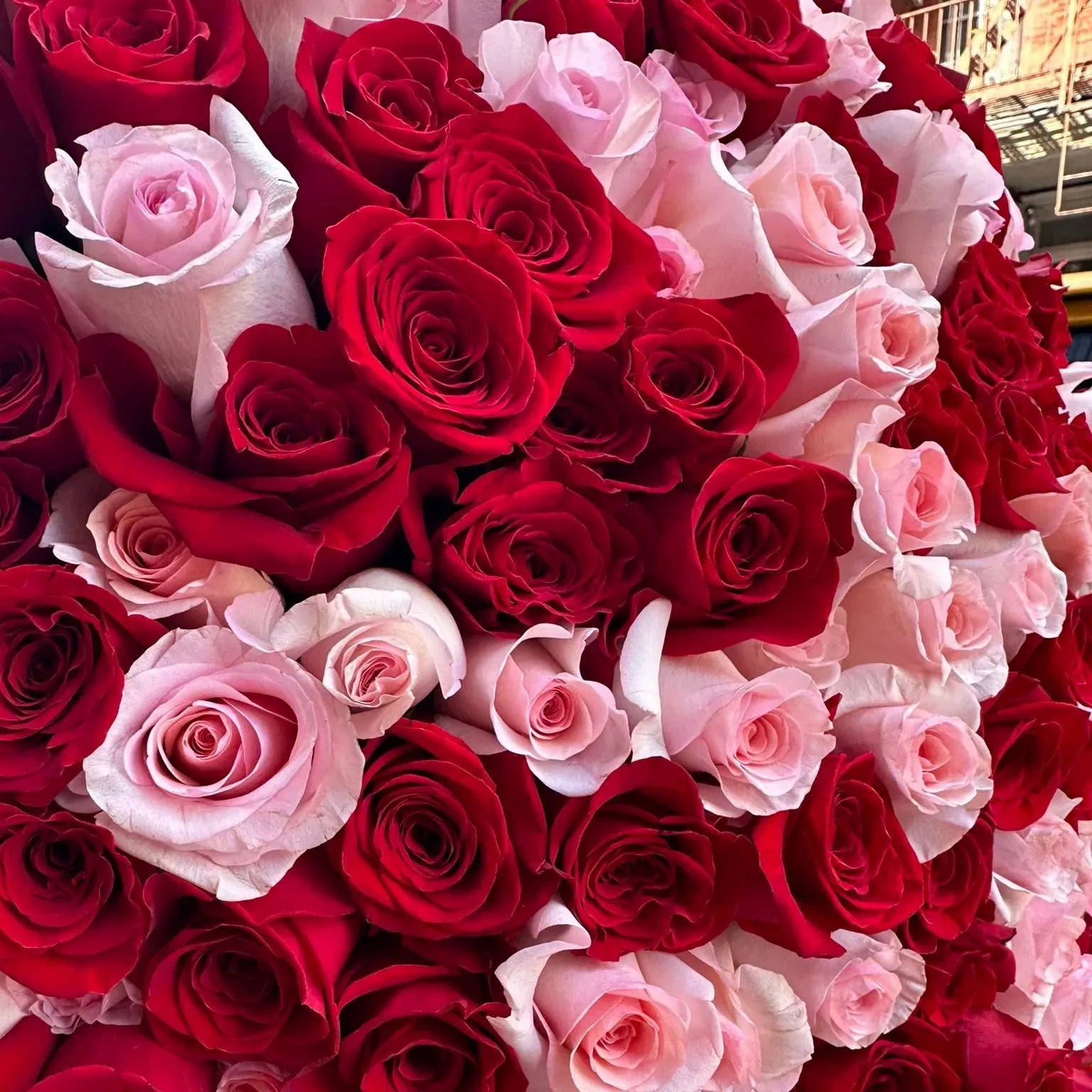 Bouquet of red and pink roses