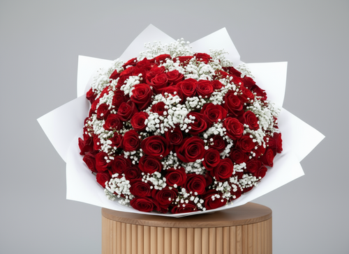 Bouquet of red roses and gypsophila on a white background