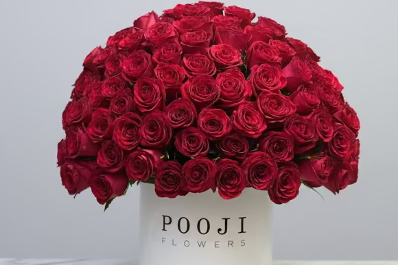 Luxury Red Rose Dome | 150 Roses