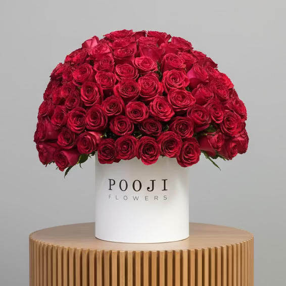 Luxury Red Rose Dome | 150 Roses