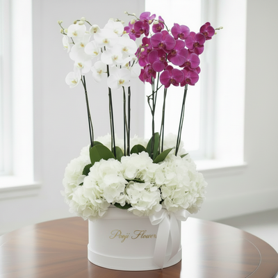 3D purple white mixed plant