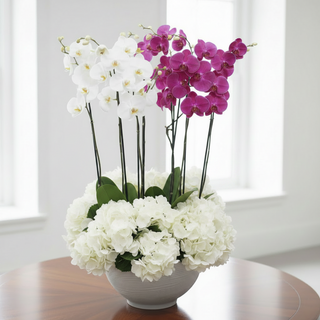 White & Purple Hydrangea Plant Arrangement
