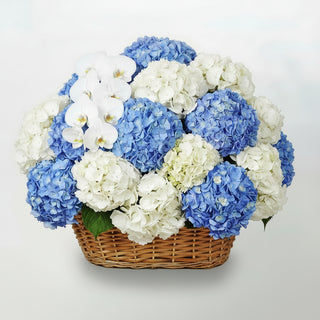 Hydrangea & Orchid Luxury Basket