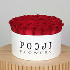 Red Roses Box 50
