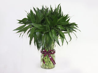 30 Pieces Small Bamboo Vase