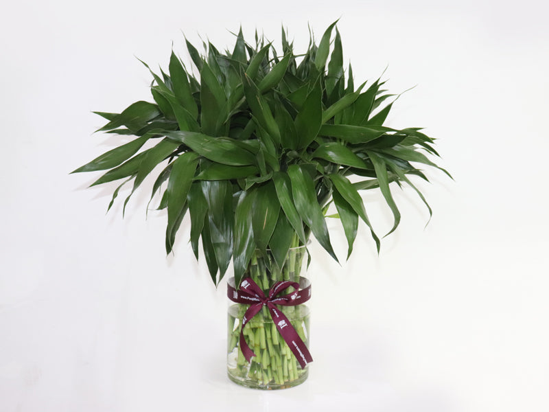 30 Pieces Small Bamboo Vase