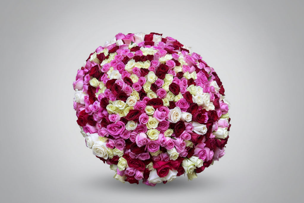 Large bouquet of 500 red, pink, and white roses