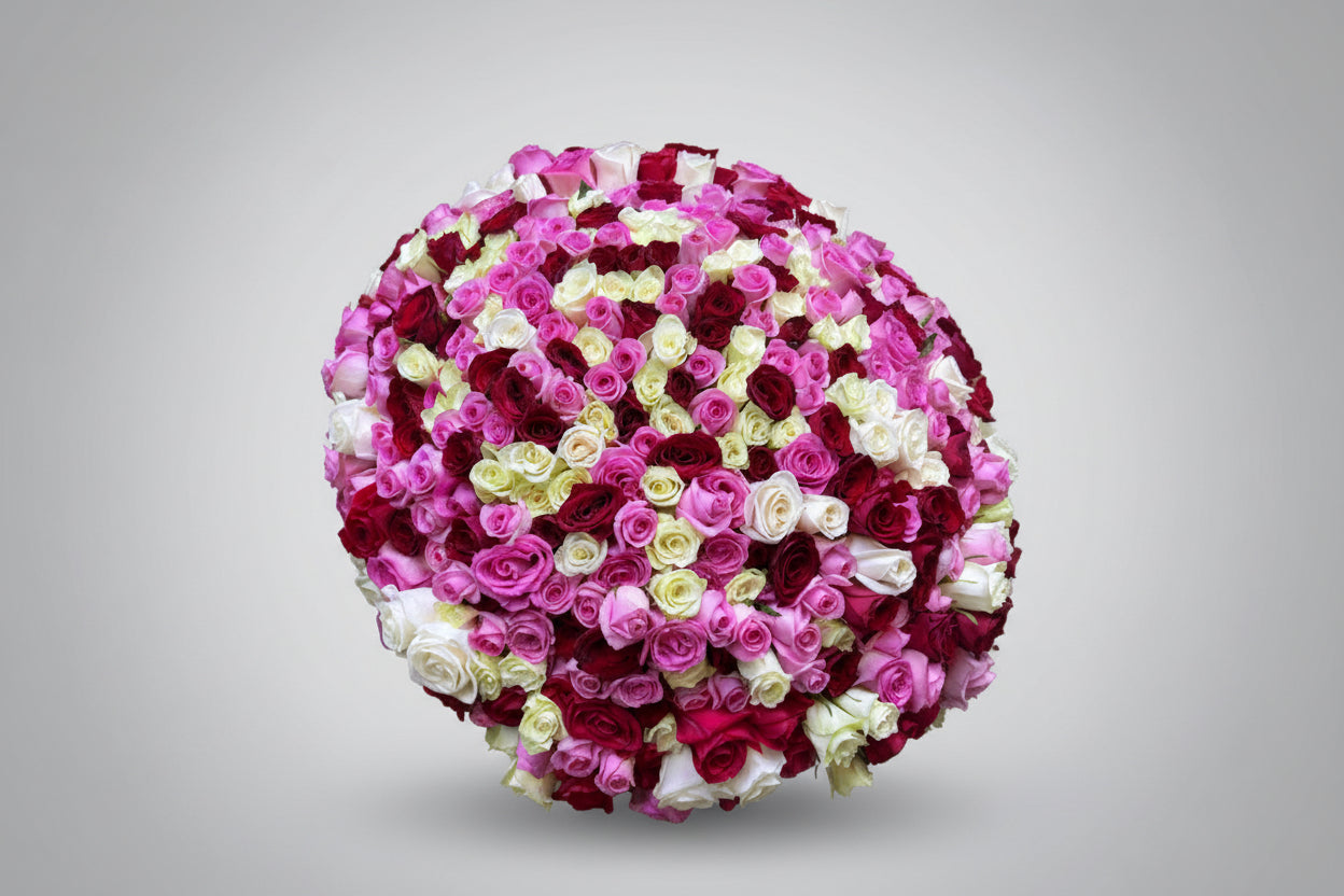 Large bouquet of 500 red, pink, and white roses