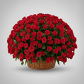 Red Rose Basket 500