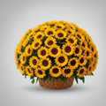 Grand sunflower Basket 100