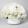 Luxury White Blossom Flower Box