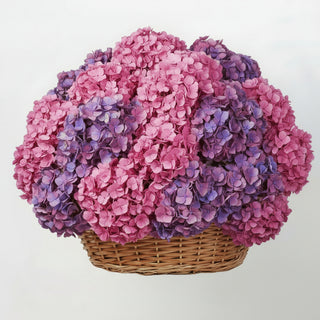 Basket of pink flowers with a pink ribbon on a white background