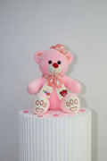 Pink teddy bear with decorative elements on a white background