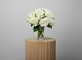 Premium White Hydrangea | 10 Stems in Clear Vase