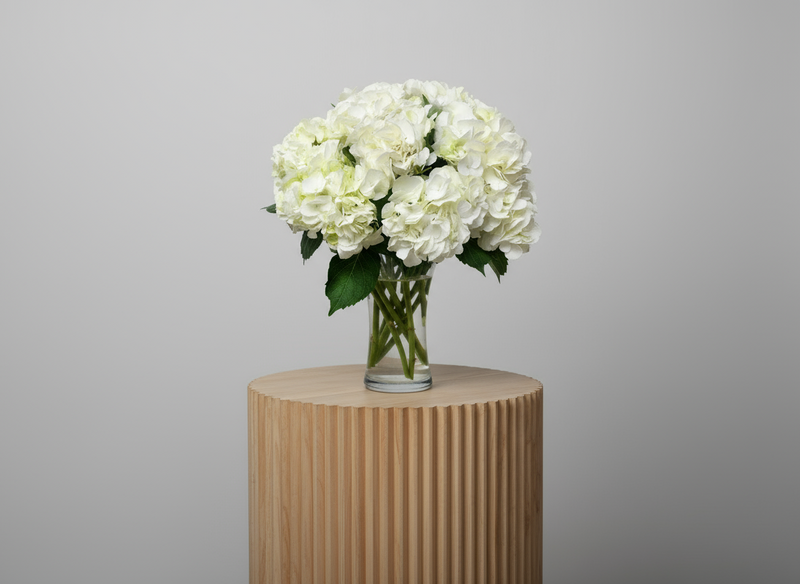 Premium White Hydrangea | 10 Stems in Clear Vase — same-day flower delivery in Kuwait