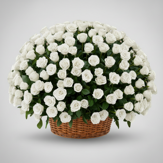 A large round floral arrangement of white roses with green leaves in a brown woven basket, centered on a light gray gradient background.