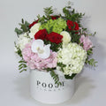 Red Rose & White Bloom Flower Box