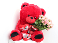 Red Teddy Bear with Baby Roses Bouquet - Love Gift Set