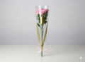 Bouquet of pink roses in a clear plastic wrap on a white surface with a light gray background