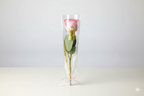 Single Pink Roses With Wrapping