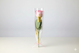 Single Pink Roses With Wrapping