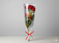 Bouquet of red roses with a clear wrap and red ribbon on a gray background