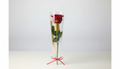 Single Red Roses With Wrapping