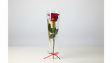 Single Red Roses With Wrapping